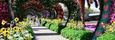 The exclusive economic zone of japan covers 4,470,000 km 2 (1,730,000 sq mi) and is the 8th largest in the world. Dubai Miracle Garden Butterfly Garden Tickets Infos