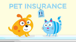 Since then, customer sentiment has. Nationwide Pet Video