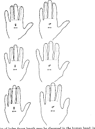The part of a glove that covers this finger. Figure 1 From Relative Index Finger Length As A Sex Influenced Trait In Man Semantic Scholar