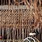 Community Weaving with Natural Materials