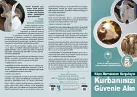 2020 Kurban Rehberi