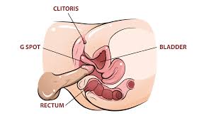 Sex positions for small penis to target her G-spot and drive her wild for intense pleasure