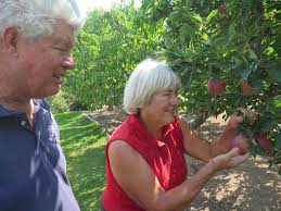 The orchard without an orchard' finally calls it quits