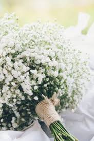 They come in many glorious. 30 Baby S Breath Flowers Ideas Babys Breath Babys Breath Flowers Flowers