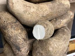 Image result for Dioscorea cayenensis