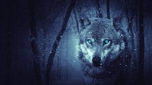Find best wolf wallpaper and ideas by device, resolution, and quality (hd, 4k) from a curated website list. Wolf Full Hd Hdtv Fhd 1080p Wallpapers Hd Desktop Backgrounds 1920x1080 Images And Pictures
