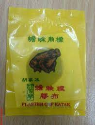 Kandungan sifat antibiotik didalamnya mampu membunuh bakteri penyebab bisul. Iezym Belog S Penyakit Bisul