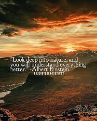 Pin On Quotes And Thoughts To Ponder
