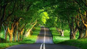 28 nature hd wallpapers 1080p. Nature Wallpapers Hd 1080p Wallpaper Cave