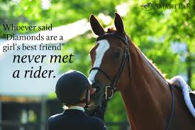 Ride On Horse Quotes Horses Funny Horses