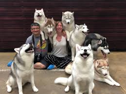 Netflix's latest hit romcom, to all the boys i've loved before, has staged an almost complete takeover of tunefind's trending music it was a busy fall last year, so laura and i teamed up to do to all the boys i've loved before, shared lindsay. Visiting Bangkok S Husky Cafe Truelove At Neverland Ladies What Travel