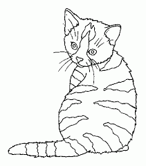 Une idée de dessin de chat en 3d un dessin de chat en 5 étapes pour les plus petits de la maison un des tuto dessin de chat les plus faciles à faire en 10 étapes simples encore un tuto de dessin de chat très simple à faire dessinez un chat à partir du mot cat dessiner un chat à partir de cercles dessinez un chaton en 4 étapes un. Dessin De Chat Animozone Fr