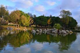 Check spelling or type a new query. Bahcesehir Golet Park Istanbul Un Ilk Ve En Buyuk Goleti Peyzax