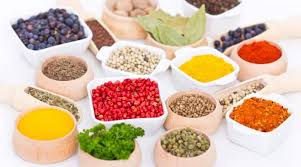 Check spelling or type a new query. Dr Kellyann S Bone Broth Cookbook Life Extension