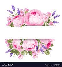 Blooming Spring Flowers Garland Of Purple Roses Sakura And Lavender Label With Rose And Lavender Flowers Vect Wreath Drawing Flower Frame Flower Backgrounds