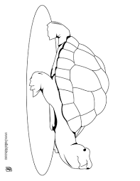 Susse Schildkrote Zum Ausmalen Malvorlagen Tiere Ausmalbilder Schildkrote Tiere Zum Ausmalen