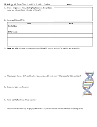 Refer to the diagram in model 1. Ib Dna Structure Replication Review 2 6 2 7 7 1