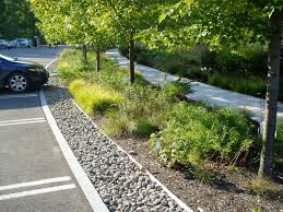 Pin On Garden Zielen Publiczna