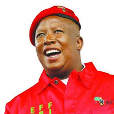 Julius malema has caused quite a stir on social media with his inflammatory statements about freedom day, land redistribution and 'previous racial injustices'. Julius Malema Says He Never Meant To Hurt The Jewish Community Jewish Report