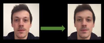 Bayesian Optimization for real-time, automatic design of face stimuli in  human-centred research