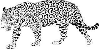 Thousands of high quality images available. Jaguar Stock Vector Illustration Of Danger Jaguar 111304364