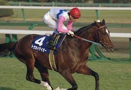 Check spelling or type a new query. Jraå²ä¸Šä¸€ç•ªã‚¤ã‚±ãƒ¡ãƒ³ãªç«¶èµ°é¦¬ã£ã¦