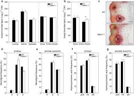 Check spelling or type a new query. The Impact Of Silicon On Cell Wall Composition And Enzymatic Saccharification Of Brachypodium Distachyon Biotechnology For Biofuels Full Text