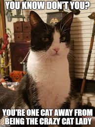 Pin On Top 5 Funnies