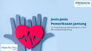 Yang mengakibatkan aliran darah ke jantung terganggu penyebab utama dari pjk adalah merokok, kolesterol dan hipertensi. Jenis Jenis Pemeriksaan Jantung Primaya Hospital
