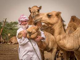 How to use cards in saudi arabia: Sam S Camels Sam S Life