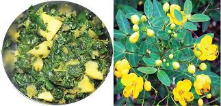 Image result for Senna tora