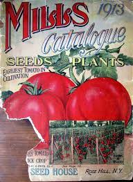 Vintage Seed Catalogs Seed Catalogs Burpee Seeds Seeds