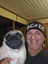 Good morning pug family gizmo is not feeling well Kennel cough