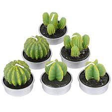 Bienvenidas amigas una vez mas a esta su casa hoy te enseñare hacer unos rosetones para decorar tus fiestas es realmente muy sencillo de hacer que puede sacarte de apuros ademas te aseguro que la fiesta quedara increíble y mas por que has puesto una decoración hecha por ti siéntete orgullosa por. Suculentas Decoracion Del Hogar Fiestas Bodas Sin Humo Velas Decorativas De Caramelo Velas De Te Velas Para Cumpleanos Zzm Cactus Candles Delicadas Cactus Hechas A Mano Plantas Artificiales Verdes 6 Unidades Velas