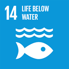 Free diving world champion umberto pelizzari, raised a flag to represent goal 14, life below water, off the coast of formentera. Sdg Icons Sdgicons Profile Pinterest