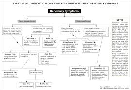 31 Disclosed Nutrient Deficiency Chart