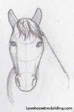 Check spelling or type a new query. Create A Horse Head Drawing Easy To Follow Instructions