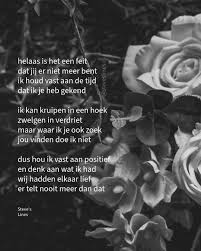 Afbeeldingsresultaat voor dineke van es verwoeste steden