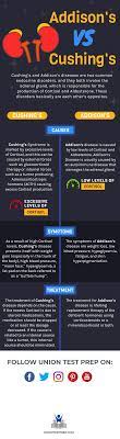 The Differences Between Cushing S And Addison S Diseases