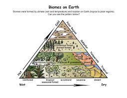 Pin On Homeschool Science Ideas