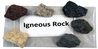 Igneous Rock Assignment Point