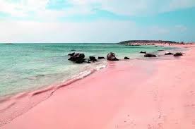 I need to go to a pink sand beach 😍