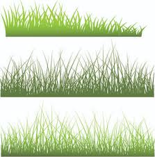 Download Green Grass Texture Free Vector Download 14 470 Free Vector For Commercial Use Format Ai Eps Cdr Svg Vector Illustration Graphic Art Design