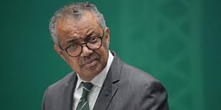 WHO chief warns 'future generations may not forgive us' if pandemic treaty  not agreed upon: 'There will be a next time'