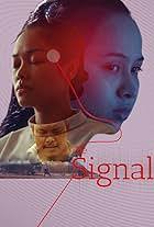 The Signal (2007)