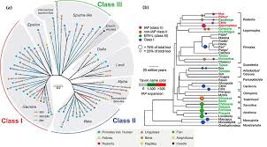 Fission is a type of radioactivity in which large nuclei spontaneously break apart into smaller nuclei. A The Seven Retroviral Genera Alpha Beta Gamma Delta Download Scientific Diagram