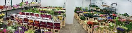 Not wanting to aggravate the texas's affluence stimulates a strong commercial sector consisting of retail, wholesale. James Taylor Flowers Wholesale Flowers Glasgow