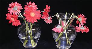 Hours may change under current circumstances Industry Researcher Shares How To Prevent Wilted Blooms Safnow Org