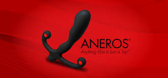 Prostate massager Brand Aneros for sale in Singapore - Horny.SG