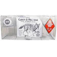 We did not find results for: Animal Rodent Control At Tractor Supply Co